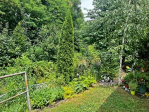 Garten(2)