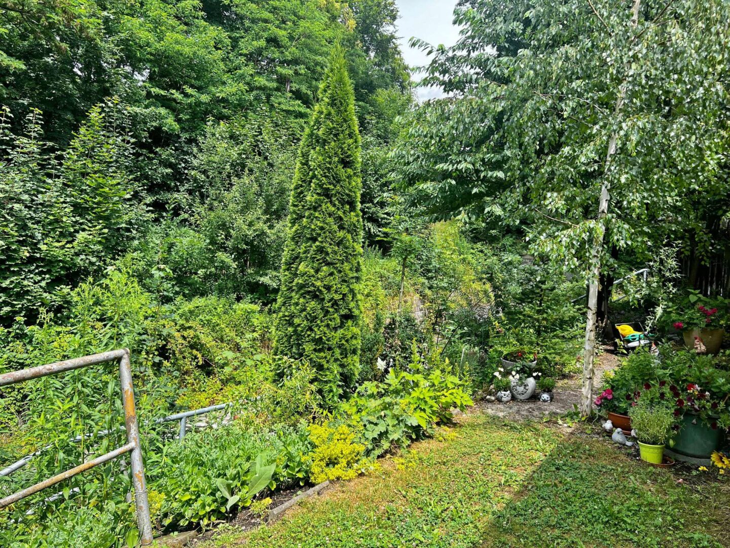 Garten(2)