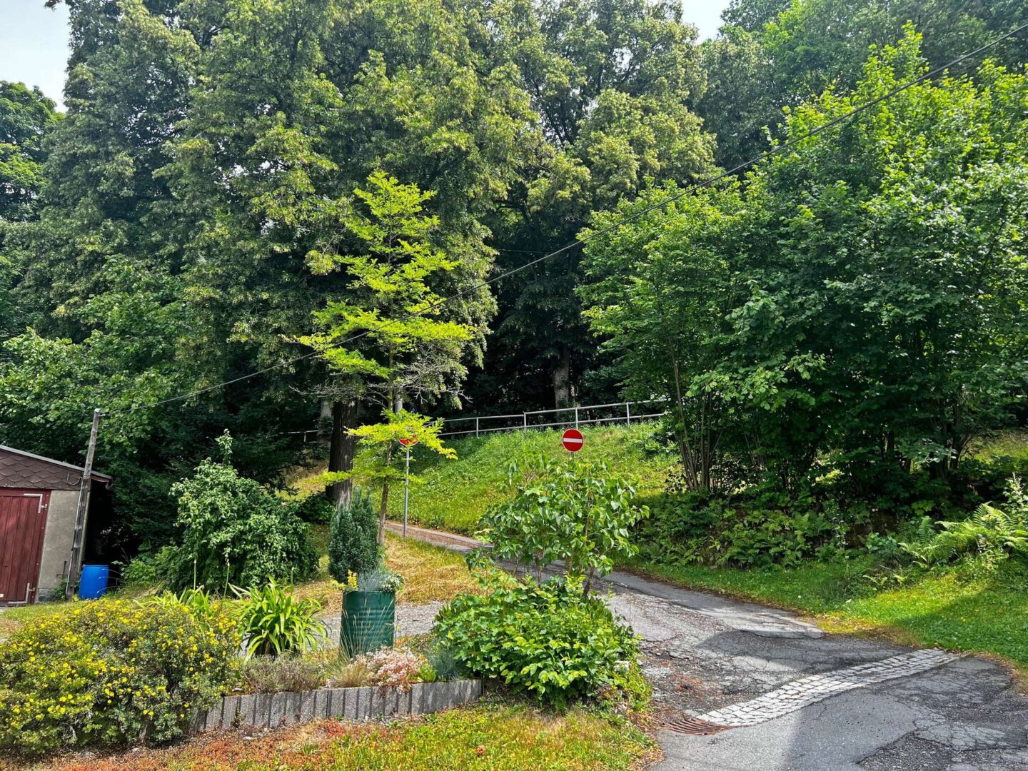 Waldweg